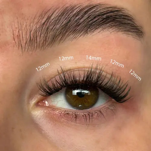 Lola's Lashes Fluffy Russian DIY Cluster Lashes