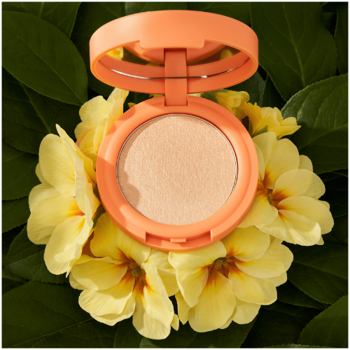 Catrice Seeking Flowers Cream-To-Powder Highlighter C02 Apriglow